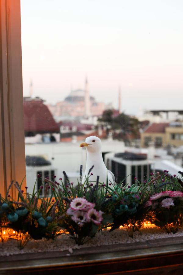 Great Fortune Hotel&Spa Istanbul Exterior foto